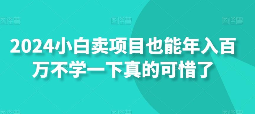 2024小白卖项目也能年入百万不学一下真的可惜了-资源宝库