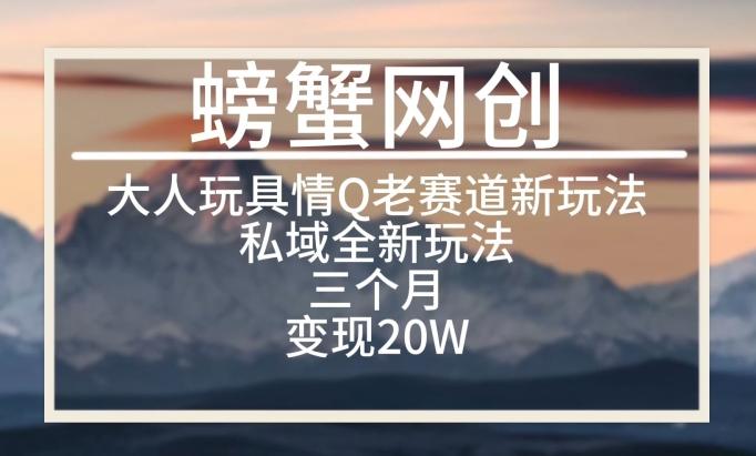 大人玩具情Q用品赛道私域全新玩法，三个月变现20W，老项目新思路【揭秘】-资源宝库