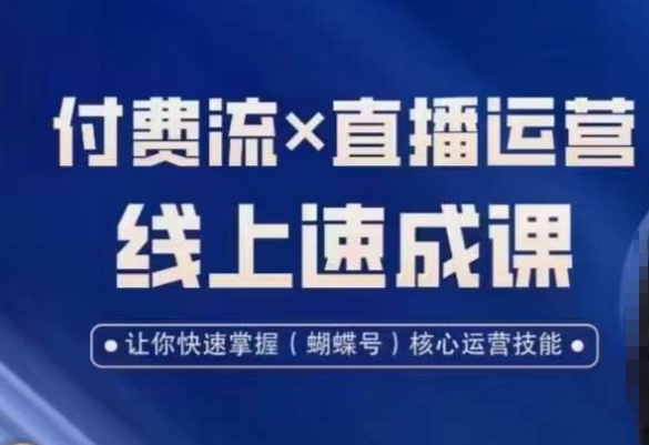 视频号付费流实操课程，付费流✖️直播运营速成课，让你快速掌握视频号核心运营技能-资源宝库