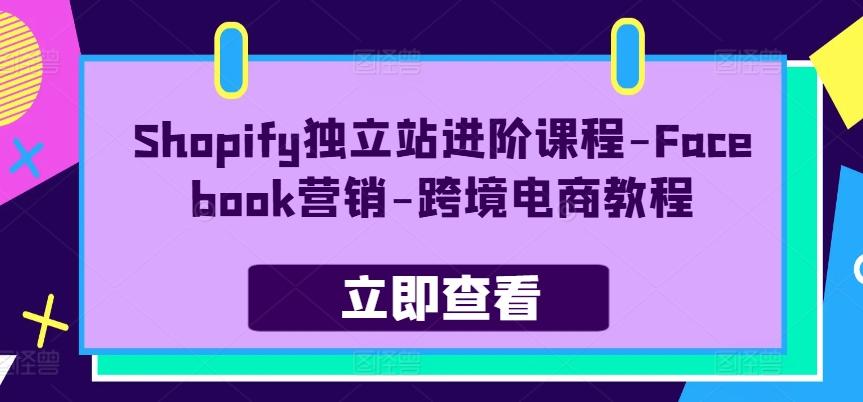 Shopify独立站进阶课程-Facebook营销-跨境电商教程-资源宝库