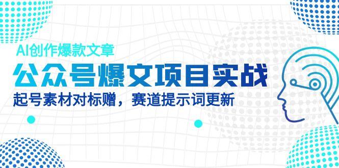 公众号爆文项目实战，AI创作爆款文章，起号素材对标赠(附赛道AI提示词-资源宝库