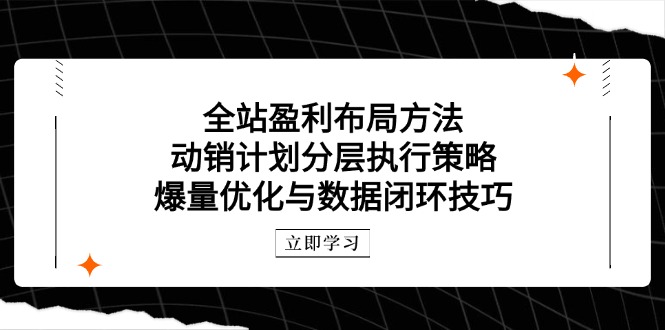 全站盈利布局方法：动销计划分层执行策略，爆量优化与数据闭环技巧-资源宝库