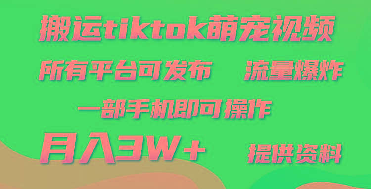 (9618期)搬运Tiktok萌宠类视频，一部手机即可。所有短视频平台均可操作，月入3W+-资源宝库
