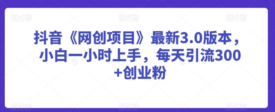 抖音《网创项目》最新3.0版本，小白一小时上手，每天引流300+创业粉【揭秘】-资源宝库