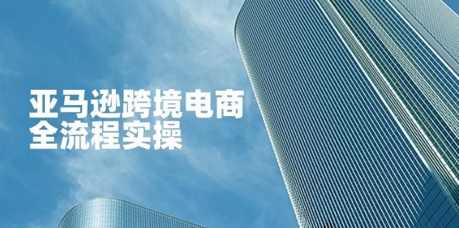 亚马逊跨境电商全流程实操，教你从零开始，掌握店铺运营与广告技巧-资源宝库