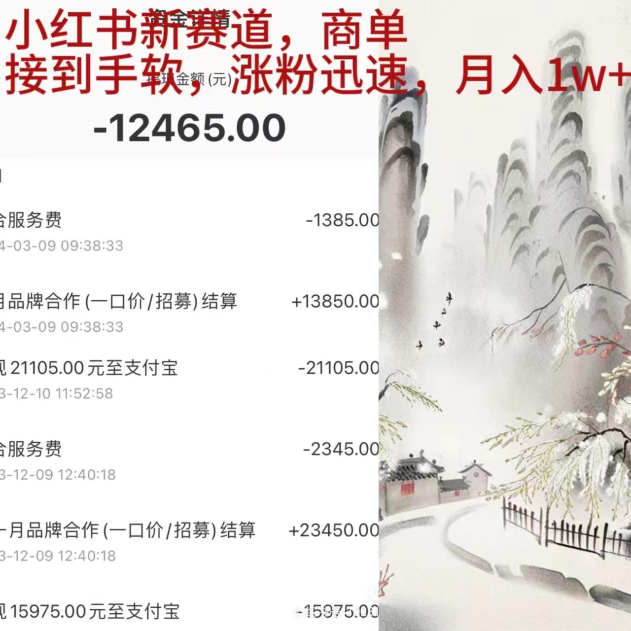 (9476期)小红书新赛道，商单接到手软，涨粉迅速，月入1w+-资源宝库
