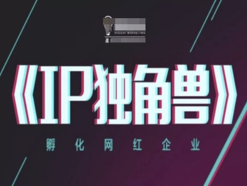 IP独角兽，孵化网红企业，ip教程-资源宝库