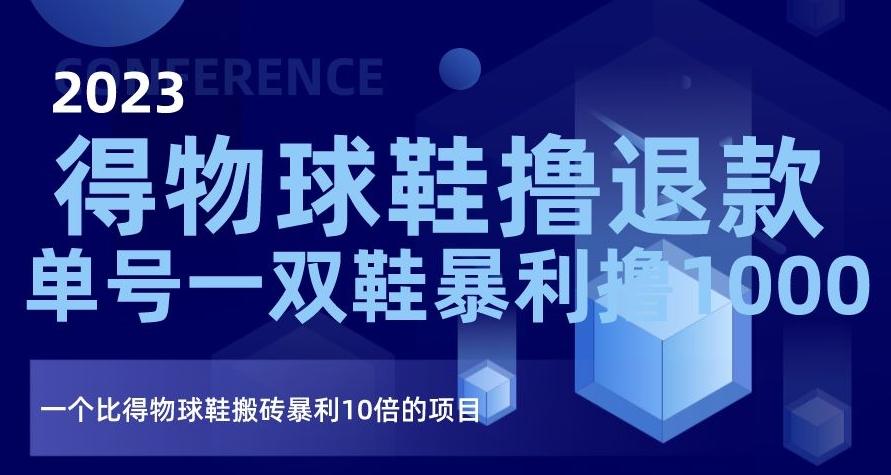 2023得物球鞋撸退款，单号一双鞋暴利撸1000，一个比得物球鞋搬砖暴利10倍的项目【揭秘】-资源宝库
