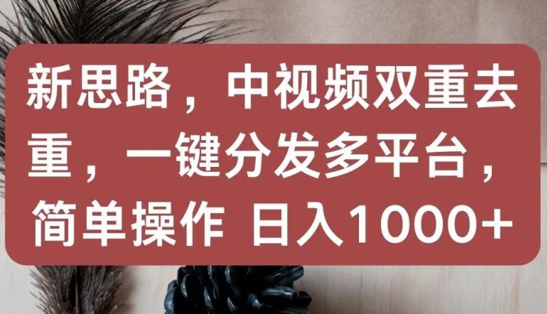 新思路，中视频双重去重，一键分发多平台，简单操作，日入1000+【揭秘】-资源宝库