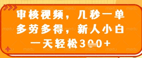 审核视频，几秒一单，多劳多得，新人小白一天轻松3张【揭秘】-资源宝库