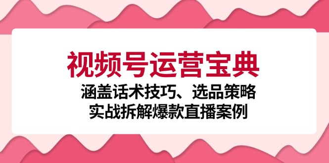 视频号运营宝典：涵盖话术技巧、选品策略、实战拆解爆款直播案例-资源宝库
