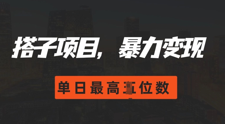 2024搭子玩法，0门槛，暴力变现，单日最高破四位数【揭秘】-资源宝库