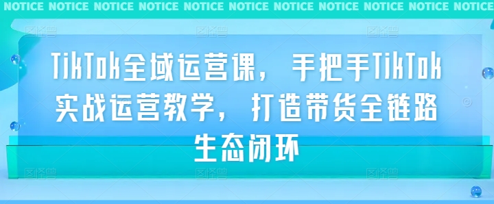 TikTok全域运营课，手把手TikTok实战运营教学，打造带货全链路生态闭环-资源宝库