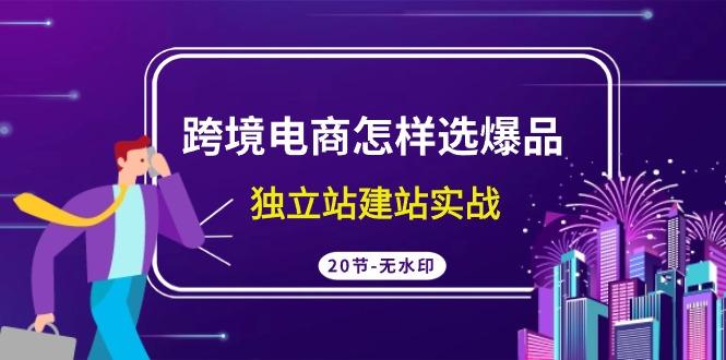 (9369期)跨境电商怎样选爆品，独立站建站实战(20节高清无水印课)-资源宝库