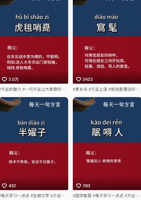 抖音最新涨粉玩法，图文方言暴力涨粉实操，126作品涨粉11W-资源宝库