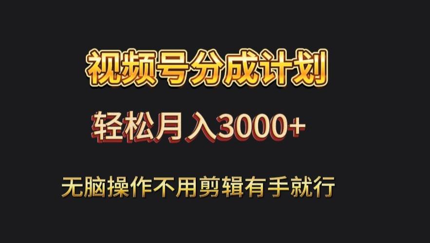 视频号流量分成，不用剪辑，有手就行，轻松月入2000+-资源宝库