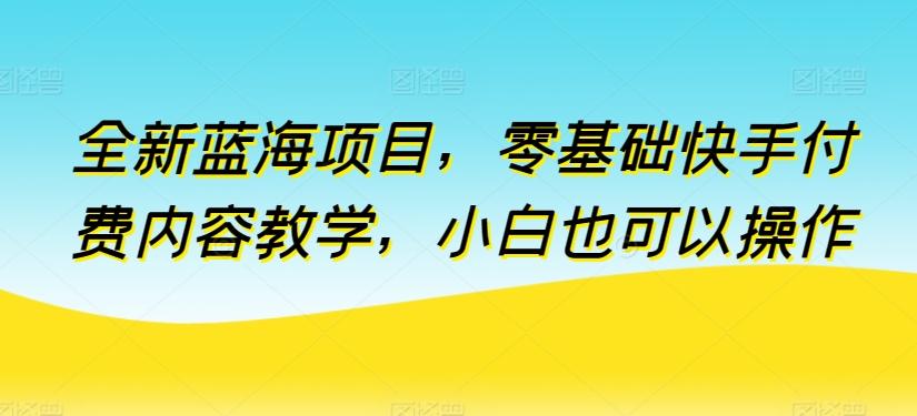 全新蓝海项目，零基础快手付费内容教学，小白也可以操作【揭秘】-资源宝库