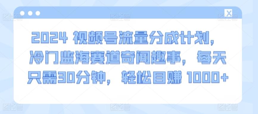 2024视频号流量分成计划，冷门监海赛道奇闻趣事，每天只需30分钟，轻松目赚 1000+【揭秘】-资源宝库