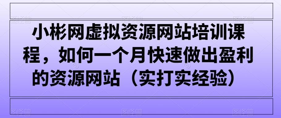 小彬网虚拟资源网站培训课程，如何一个月快速做出盈利的资源网站(实打实经验)-资源宝库