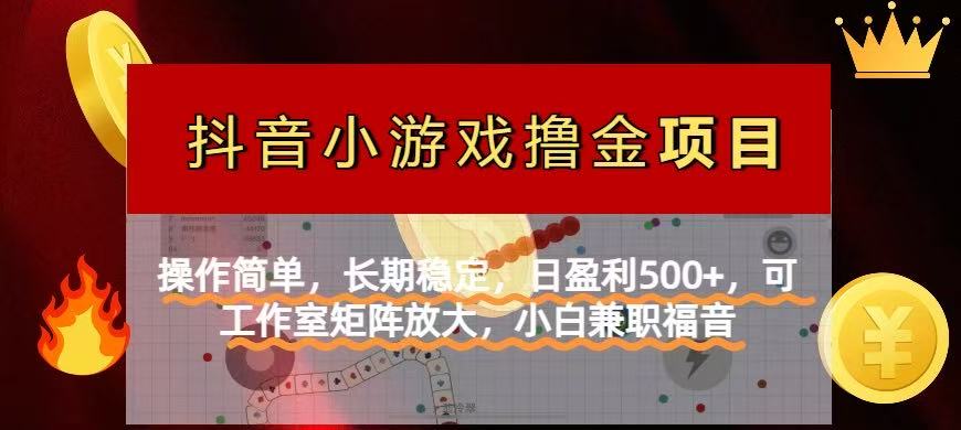 【抖音小游戏发行人计划项目】操作简单，长期稳定，日盈利500+，可工作…-资源宝库