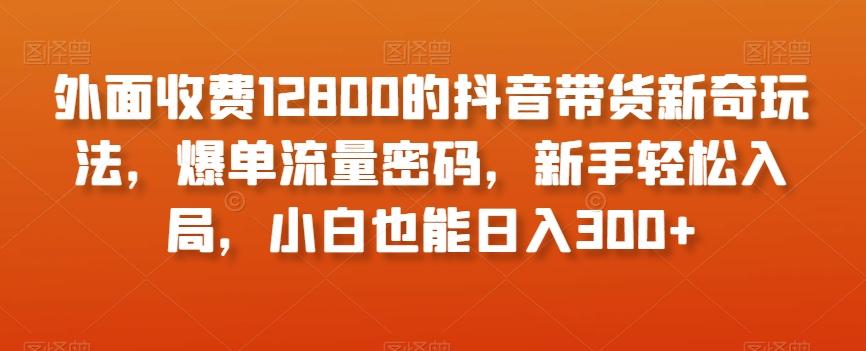 外面收费12800的抖音带货新奇玩法，爆单流量密码，新手轻松入局，小白也能日入300+【揭秘】-资源宝库