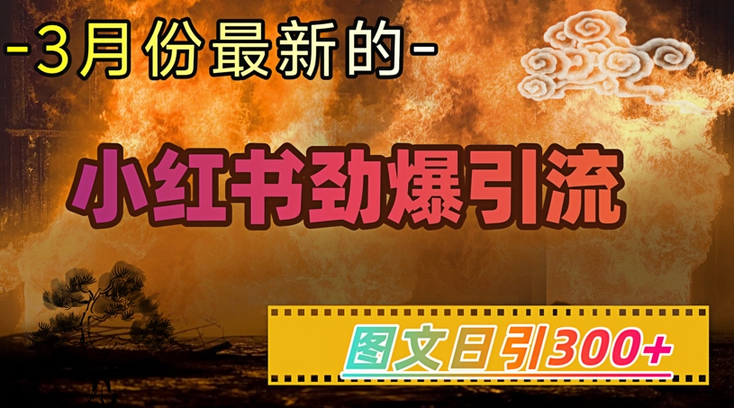 小红书超劲爆引流手段,图文日引300+轻松变现1W-资源宝库