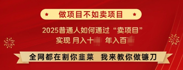 必看，做项目不如卖项目，2025普通人如何通过“卖项目”实现月入十个，年入百个-资源宝库