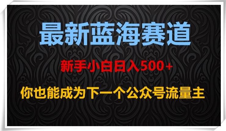 最新蓝海赛道，新手小白日入500+，你也能成为下一个公众号流量主【揭秘】-资源宝库