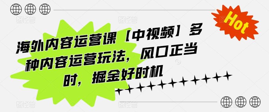海外内容运营课【中视频】多种内容运营玩法，风口正当时，掘金好时机-资源宝库