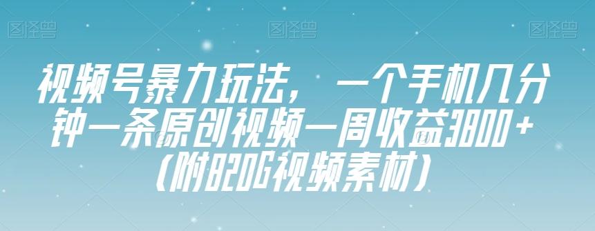 视频号暴力玩法，一个手机几分钟一条原创视频一周收益3800+（附820G视频素材）-资源宝库