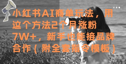 小红书AI商单玩法,用这个方法2个月涨粉7W+,新手也能接品牌合作(附全套指令模板)-资源宝库