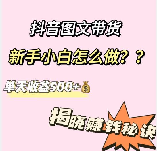 抖音图文带货，新手小白怎么做？单天收益500+【揭秘赚钱秘诀】-资源宝库