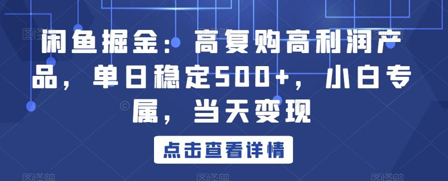 闲鱼掘金：高复购高利润产品，单日稳定500+，小白专属，当天变现-资源宝库