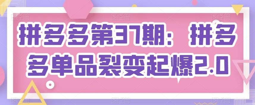 拼多多第37期：拼多多单品裂变起爆2.0-资源宝库
