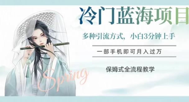 冷门蓝海项目，操作简单，小白3分钟上手，多种引流方式，保姆式全流程教学【揭秘】-资源宝库