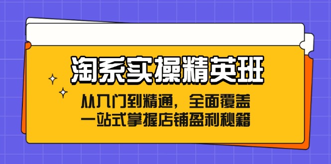 淘系实操精英班：从入门到精通，全面覆盖，一站式掌握店铺盈利秘籍-资源宝库