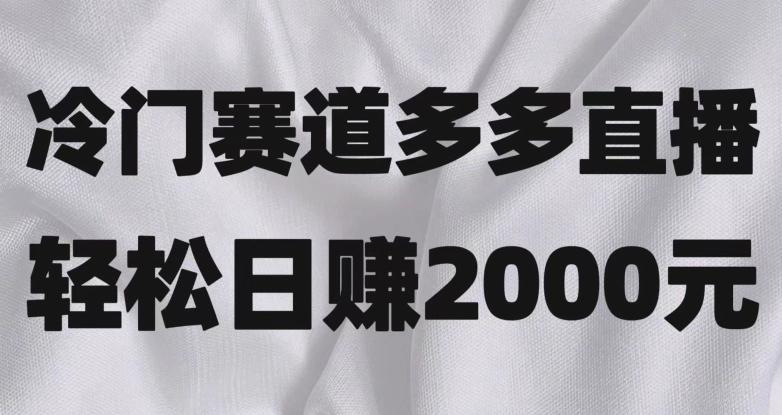 冷门赛道拼多多直播，简单念稿子，日收益2000＋【揭秘】-资源宝库