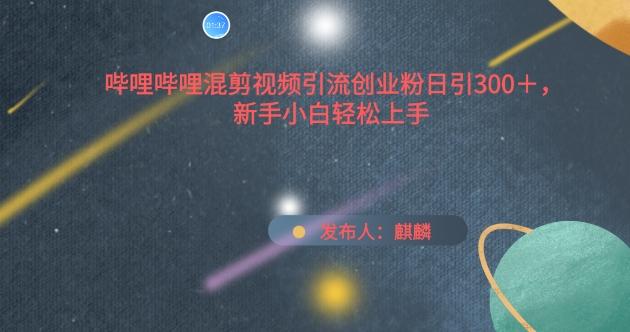 哔哩哔哩混剪视频引流创业粉日引300+，新手小白轻松上手【揭秘】-资源宝库