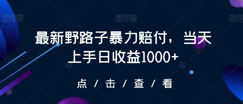 最新野路子暴力赔付，当天上手日收益1000+【仅揭秘】-资源宝库