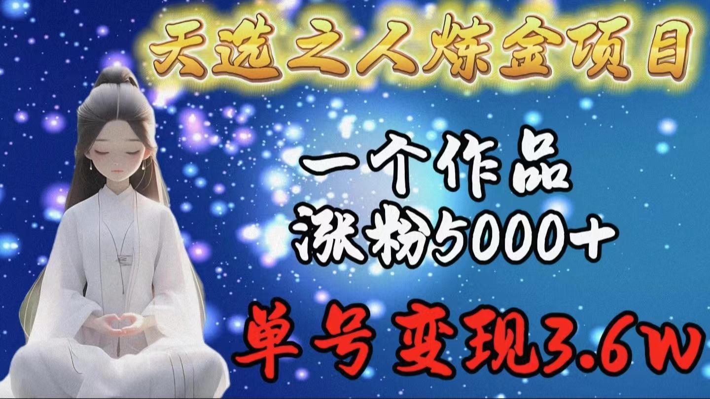 (9693期)天选之人炼金项目，一个作品涨粉5000+，单号变现3.6w-资源宝库