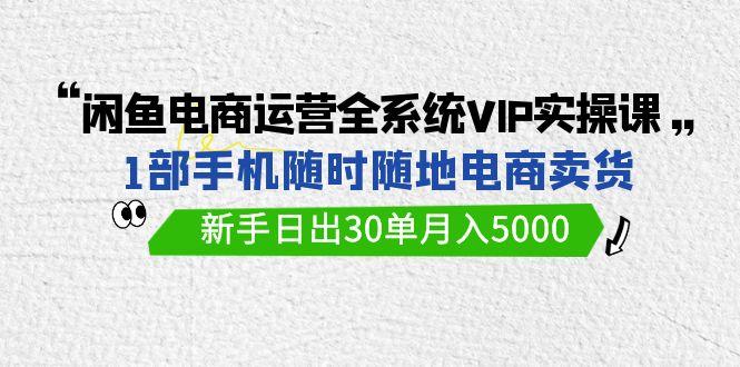 (9547期)闲鱼电商运营全系统VIP实战课，1部手机随时随地卖货，新手日出30单月入5000-资源宝库