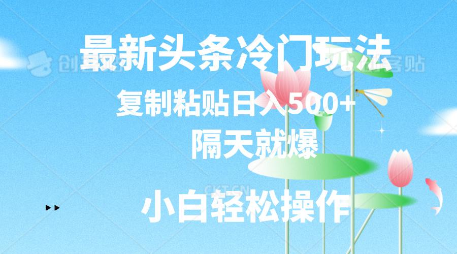 最新头条冷门玩法，隔天就爆，复制粘贴日入500+-资源宝库