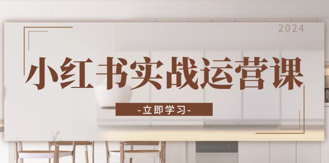 小红书实战运营课：从开通店铺到直播话术，打造爆款笔记与高效直播-资源宝库