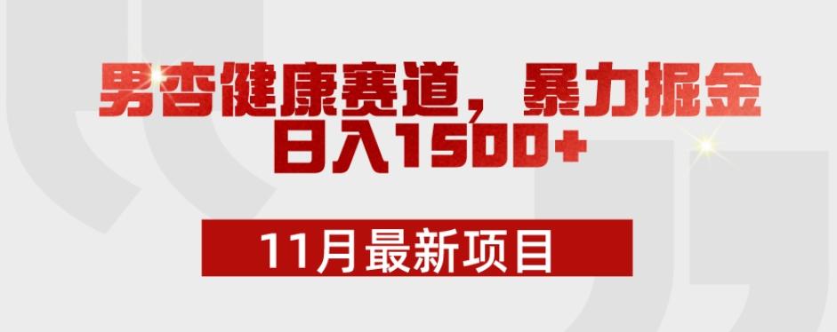 11月最新项目，男杏健康赛道，暴力掘金，日入1500+-资源宝库