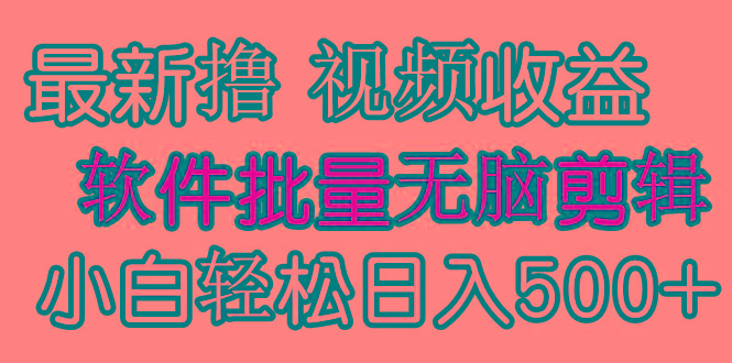 (9569期)发视频撸收益，软件无脑批量剪辑，第一天发第二天就有钱-资源宝库