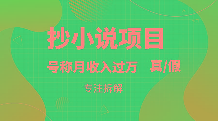 抄小说项目，号称月入过万，到底是否真实，能不能做，详细拆解-资源宝库