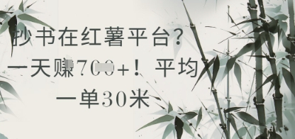 抄书在小红薯平台？平均一单30米，一天收益几张！-资源宝库