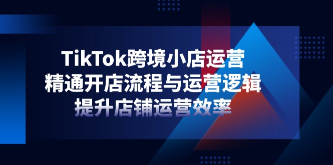 TikTok跨境小店运营，精通开店流程与运营逻辑，提升店铺运营效率-资源宝库