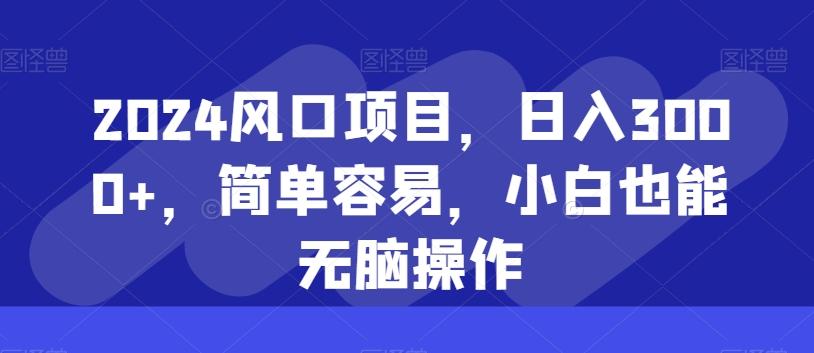 2024风口项目，日入3000+，简单容易，小白也能无脑操作-资源宝库