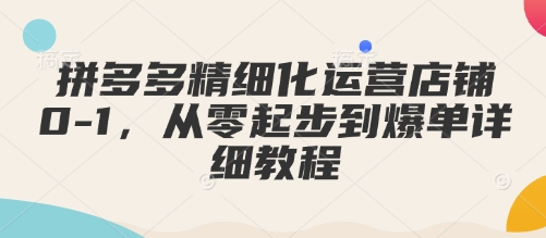 拼多多精细化运营店铺0-1,从零起步到爆单详细教程-资源宝库